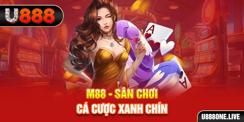 w88vn gà chọi c1