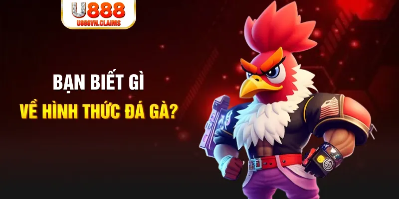 w88vn xổ số miền nam thứ năm hàng tuần