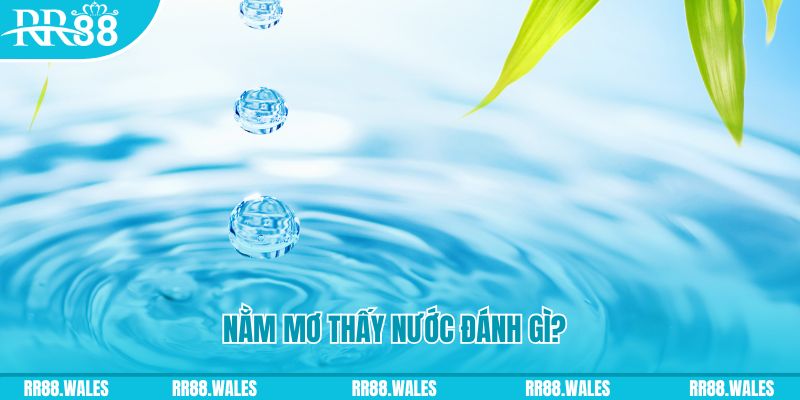 w88vn game bai beme tren may tinh