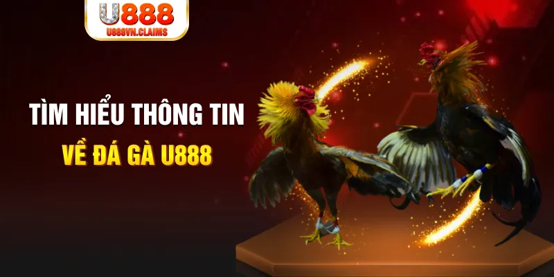 w88vn game bài đổi thưởng may club