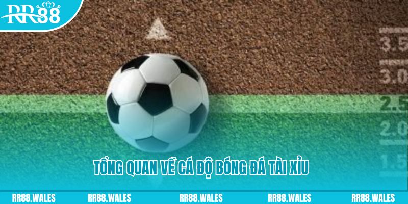 w88vn xổ số miền trung thứ tư