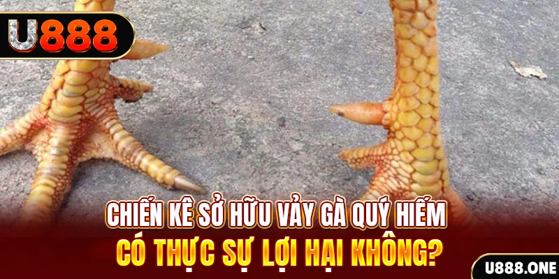 w88vn trong baccarat, ai là người chia bài chính？