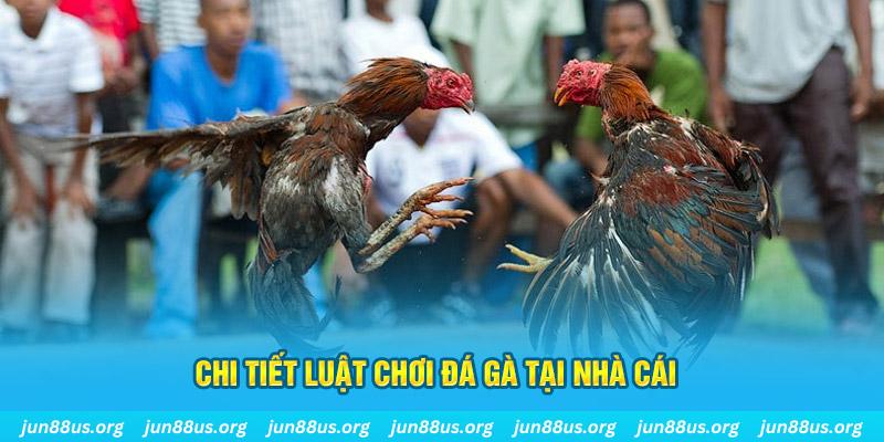 w88vn gà chọi mộc hóa