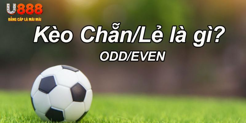 w88vn xổ số gia lai