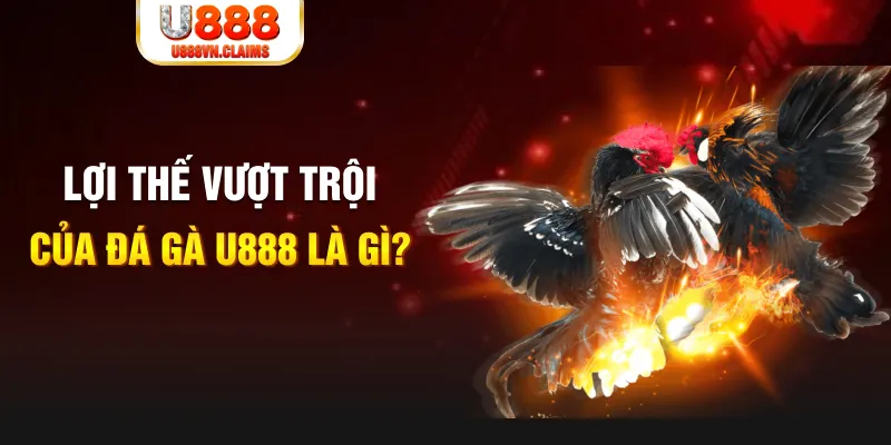 w88vn casino online là gì