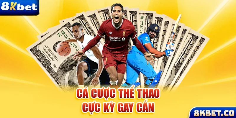 w88vn đá gà trực tiếp c3